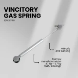 Vincitory Gas Spring
