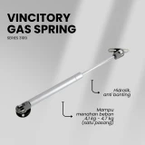 Vincitory Gas Spring